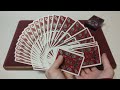 Daily deck review day 231 - Stranger Things playing cards By Theory11