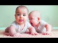 Best Videos of Cute and Funny Twin Babies #4 || Big Daddy
