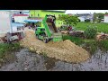 Complete100% Filling Land Making a House​​ by Bulldozer Komatsu D20P with 5ton Trucks